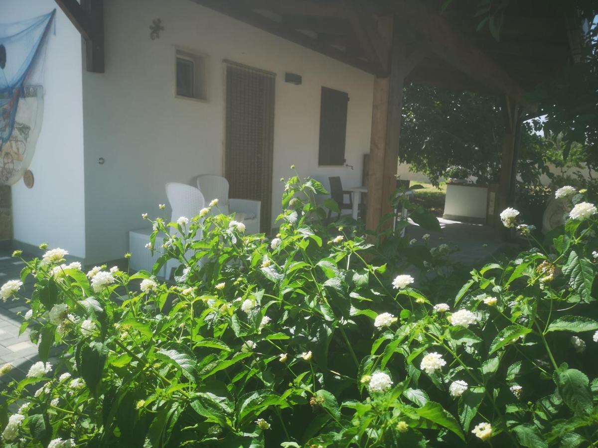 B&B Angolo Magico 파라비타 외부 사진
